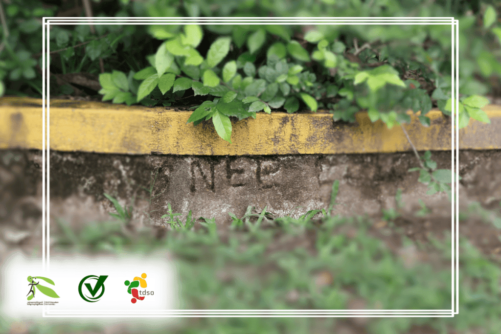 TDSO TDSO logo on a garden bed with green plants, promoting teacher development and support.