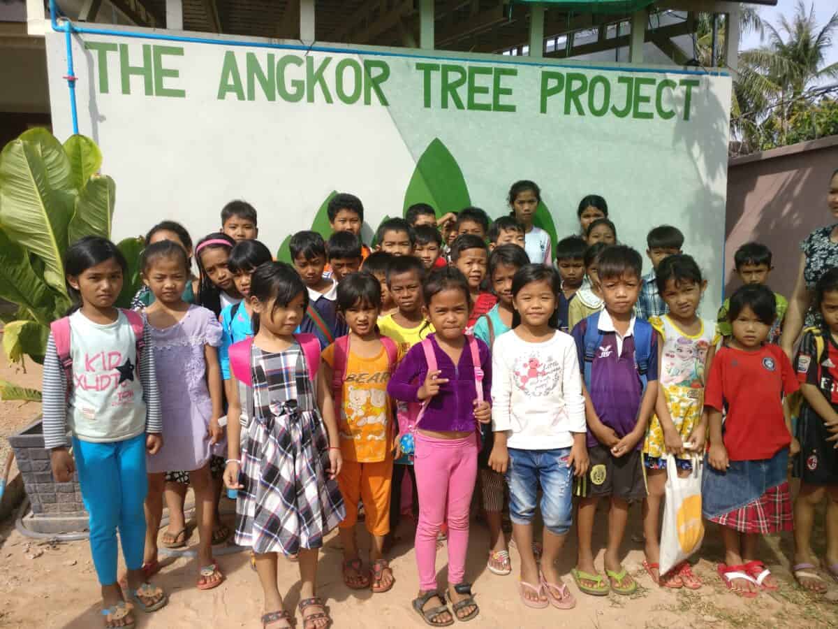 TDSO The Angkor Tree Project, the predecessor of what is now TDSO
